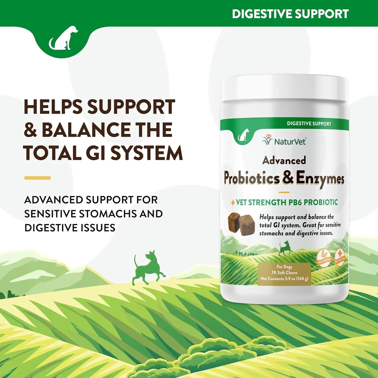 Probióticos Y Enzimas Masticables Para Perros Mejora Digestión Y Salud Intestinal