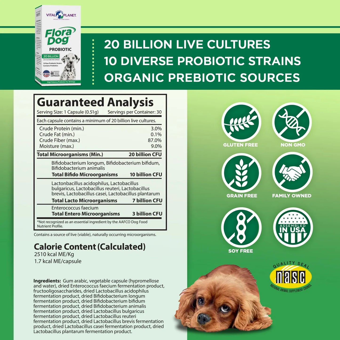 Cápsulas Probióticas Flora Dog 20 Mil Millones Cultivos 10 Cepas Para Perros