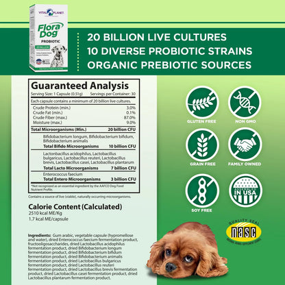 Cápsulas Probióticas Flora Dog 20 Mil Millones Cultivos 10 Cepas Para Perros