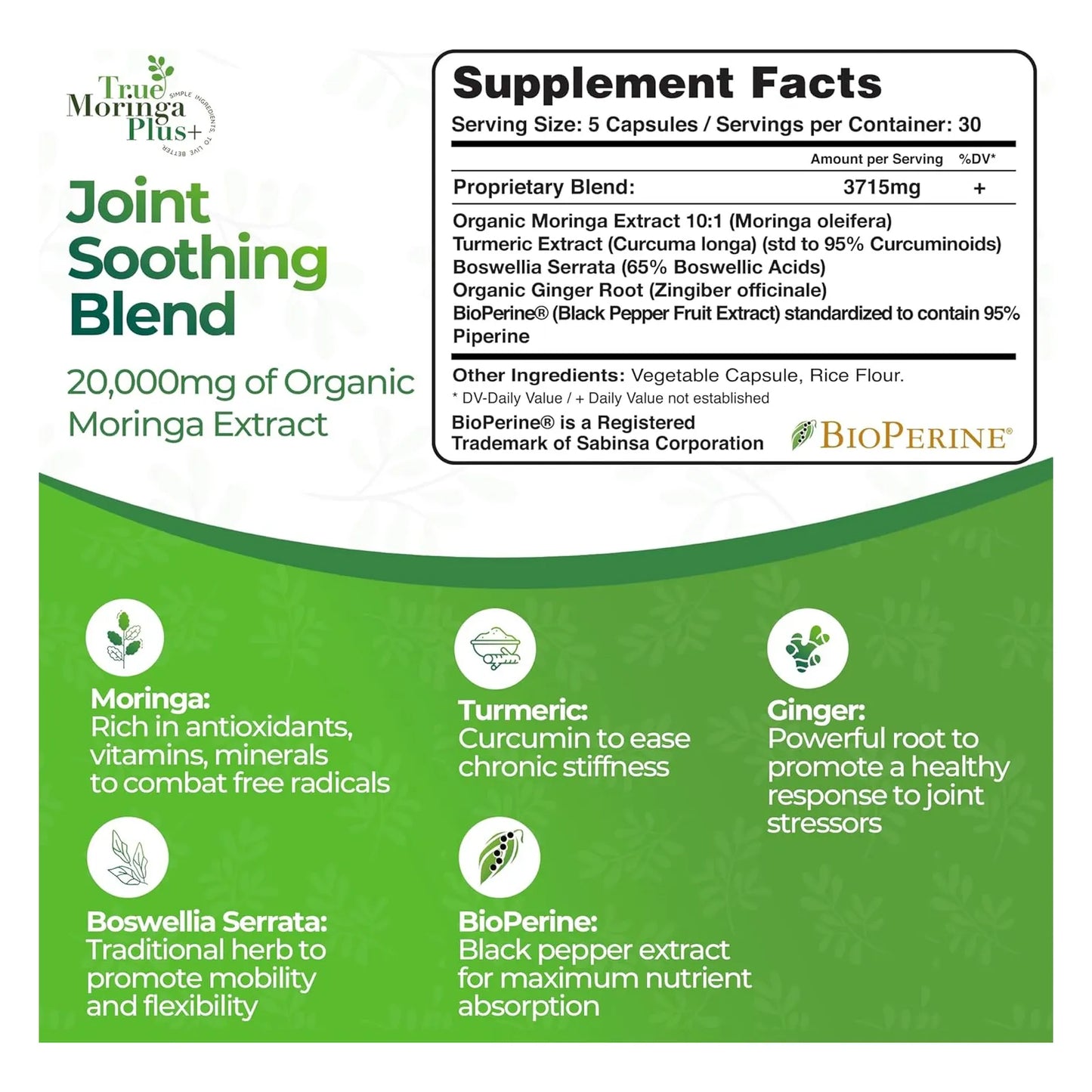 Extracto De Apoyo Articular Moringa Curcumina Jengibre Boswellia 20g