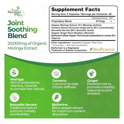 Extracto De Apoyo Articular Moringa Curcumina Jengibre Boswellia 20g