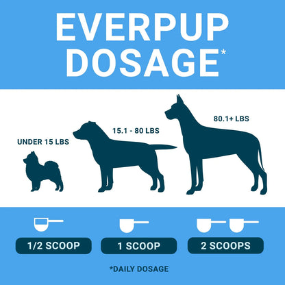 Multivitamínico Para Perros Con Glucosamina Probióticos Prebióticos Salud Articulaciones Digestión