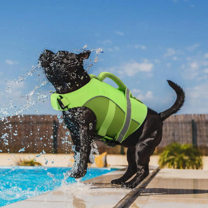 Chaleco Salvavidas Perros Ripstop Flotante Ajustable Queenmore Seguridad Y Estilo