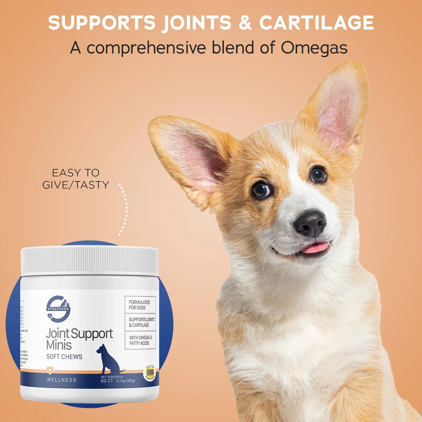 Masticables Suaves Para Perros Pequeños Con Glucosamina Condroitina MSM Alivio Articular 60 Unidades