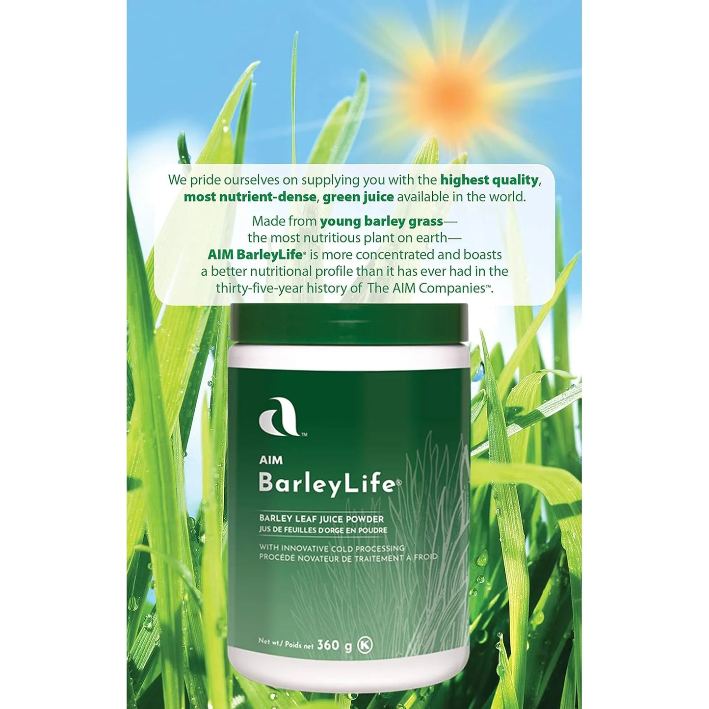 Polvo De Hierba De Cebada Tamaño Familiar 360g Energía Natural Y Nutrición