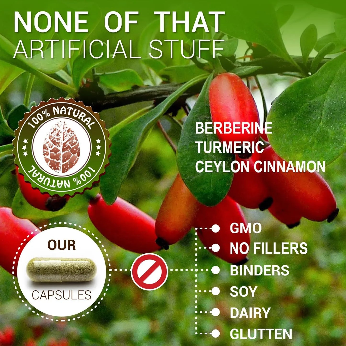 Cápsulas De Berberina Ceilán Con Canela Y Cúrcuma 500 Mg Refuerzo Inmunológico Natural