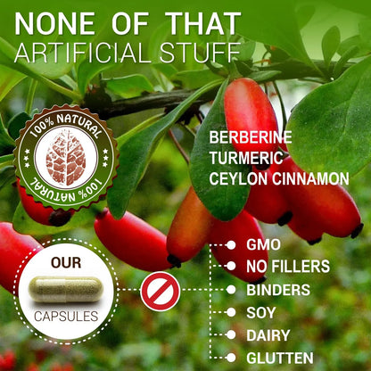 Cápsulas De Berberina Ceilán Con Canela Y Cúrcuma 500 Mg Refuerzo Inmunológico Natural