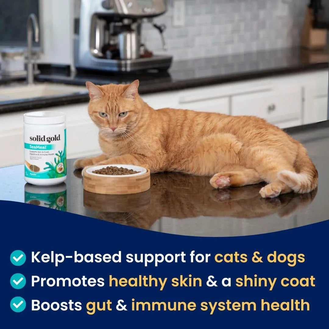 Polvo De Algas Omega 3 Vitaminas Y Enzimas Digestivas Para Mascotas 1 Libra