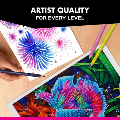 Lápices De Colores Prismacolor Premier X 72 Unidades Profesionales Arte