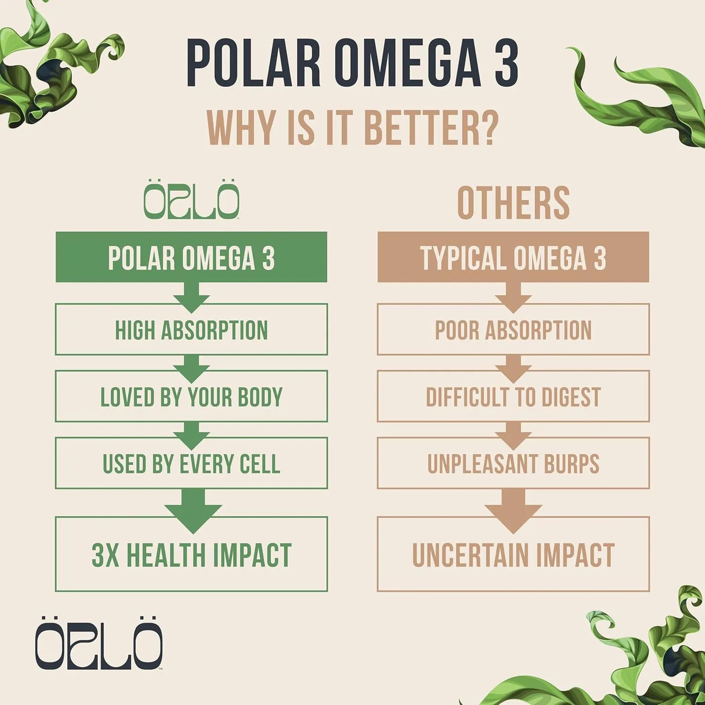 Dha Omega 3 A Base De Algas Vegano 60 Capsulas Absorcion Triple
