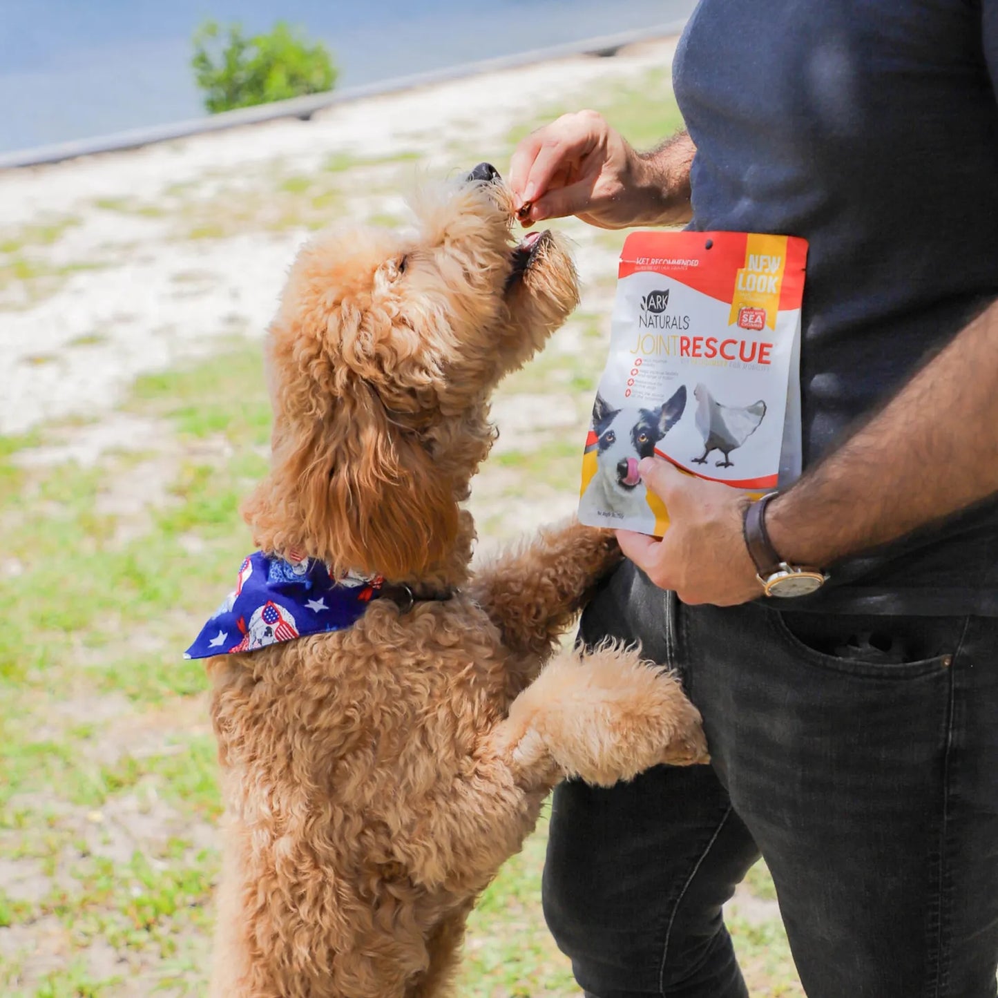 Joint Rescue Masticable Para Perros Sabor Pollo Con Glucosamina Y Condroitina Suplemento Articulaciones