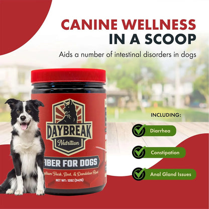 Suplemento De Fibra Natural Para Perros Con Psyllium Y Prebióticos Alivia Estreñimiento Y Diarrea