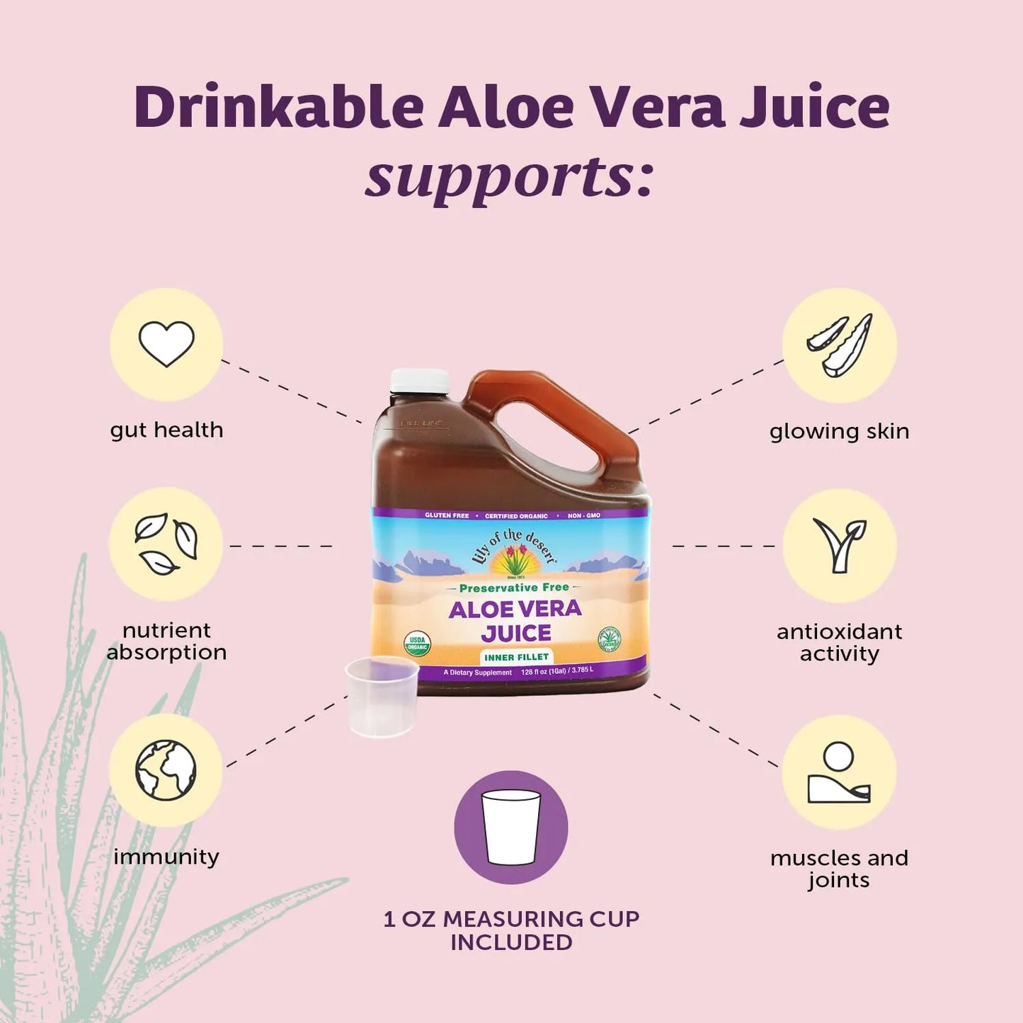 Jugo De Aloe Vera Orgánico Lily Of The Desert 118ml Puro Digestión Saludable