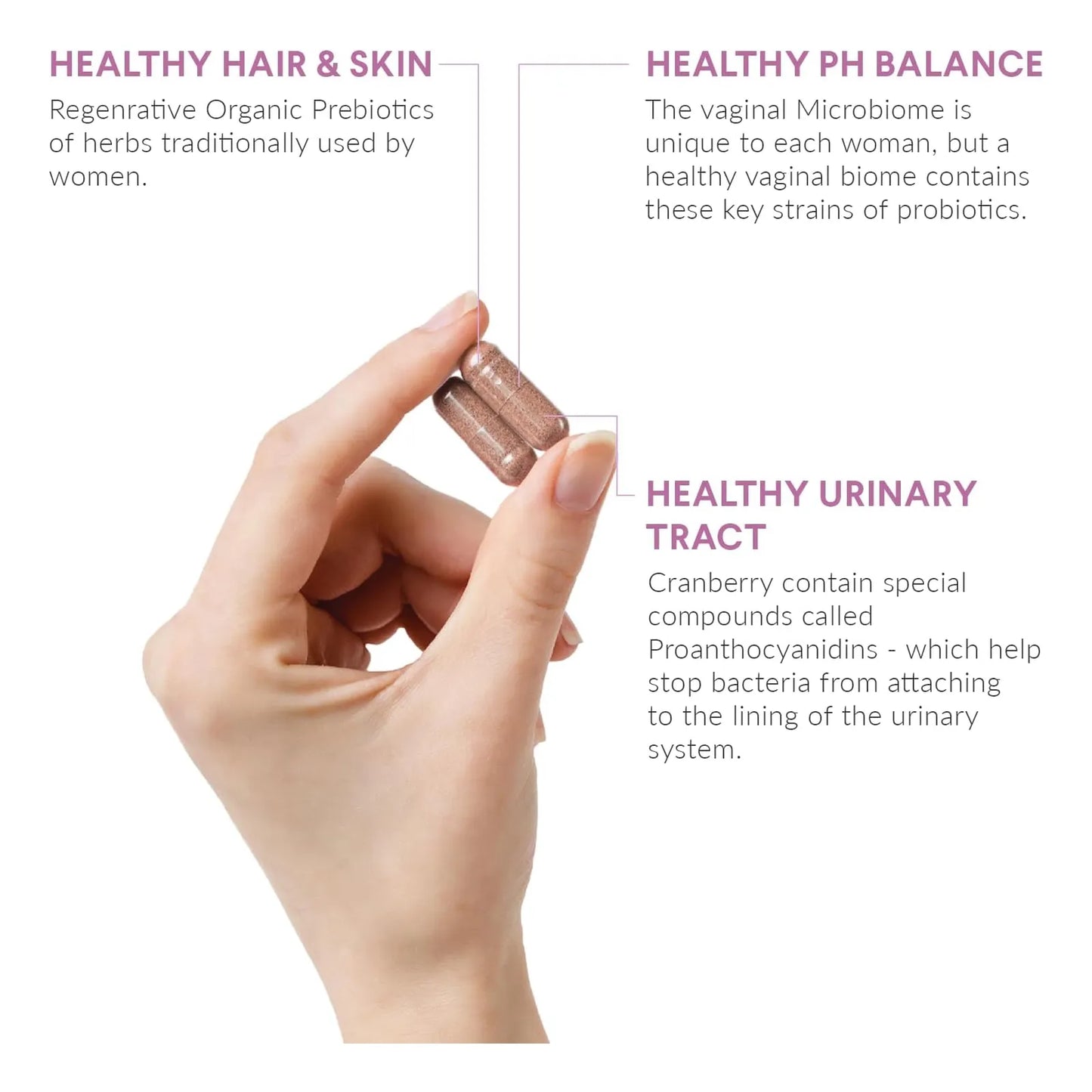 Probióticos Femeninos Salud Vaginal E Intestinal Con Extracto De Arándano 60 Porciones