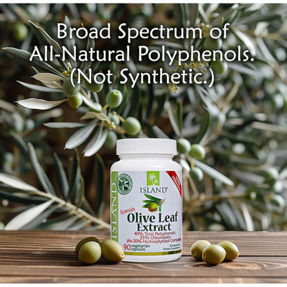 Extracto Hoja De Olivo Europeo 25 Oleuropein 90 Capsulas Island Nutrition