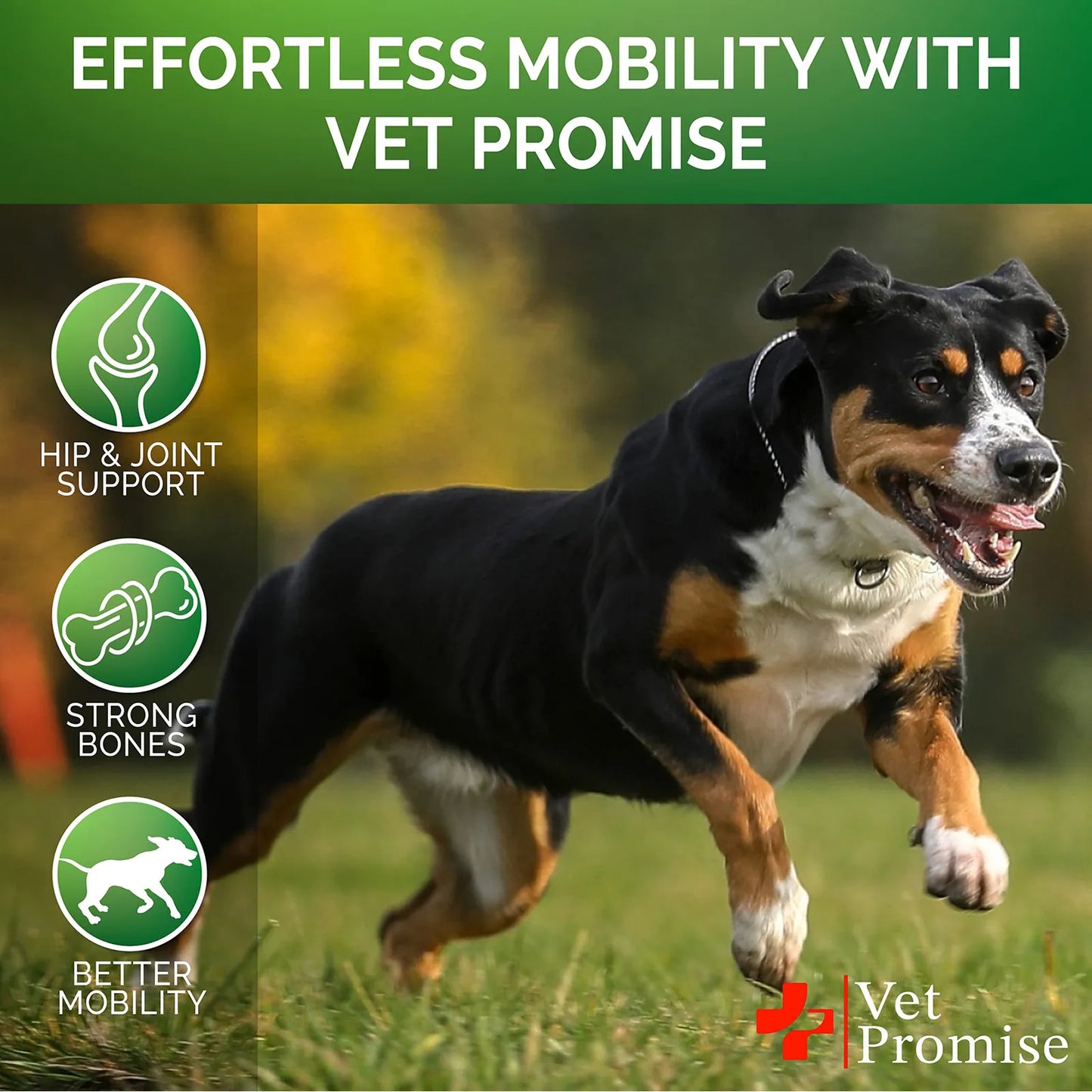 Suplemento Articular Glucosamina Condroitina MSM Para Perros 120 Masticables