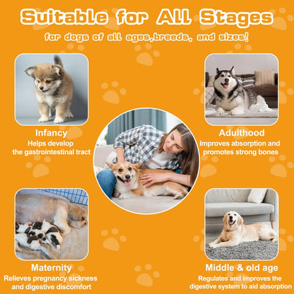 Probióticos Para Perros Con Prebióticos Enzimas Digestivas Y Calabaza Salud Intestinal Y Pelaje Brillante