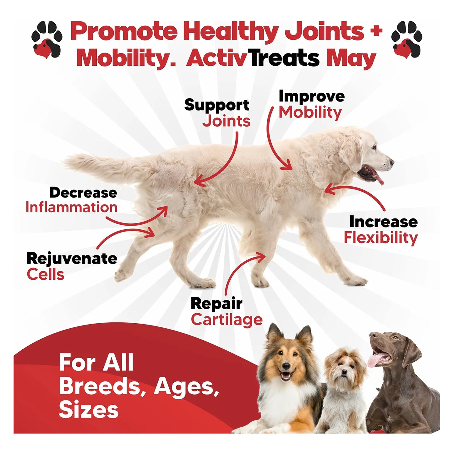 Masticables De Glucosamina Y Condroitina Para Perros Alivia Dolor Articular Y Mejora Movilidad