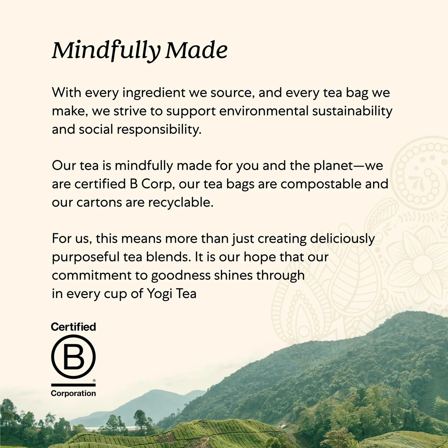 Té Orgánico Vitalidad Miel Chai Cúrcuma 96 Bolsas - Salud Y Bienestar