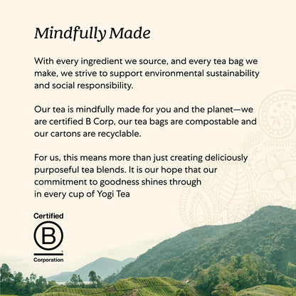 Té Orgánico Vitalidad Miel Chai Cúrcuma 96 Bolsas - Salud Y Bienestar