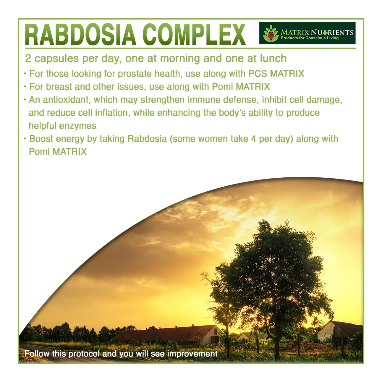 Rabdosia Complex Antioxidante Potente Con Extracto De Té Verde Y Resveratrol 60 Cápsulas Veganas