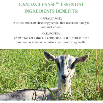 CandaCleanse Soporte Digestivo Con Enzimas Y Hierbas Naturales