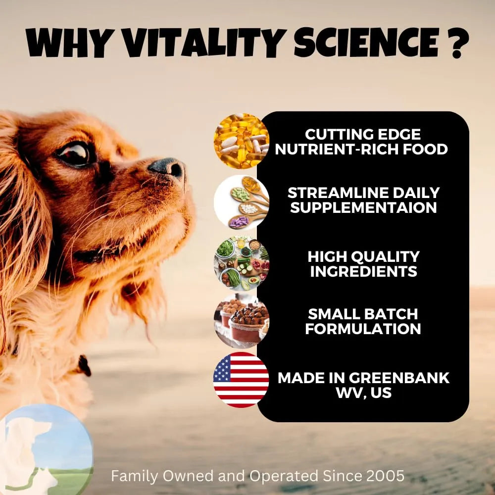 Probiótico Pet Flora Para Gatos Y Perros Digestión Diarrea Vómitos 100 Caps