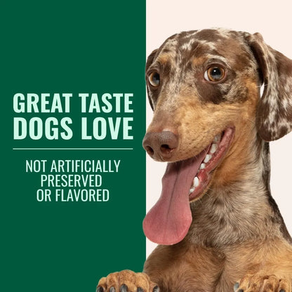 Mejillon De Labios Verdes Antiinflamatorio En Polvo Para Perros Alivia Dolor Articular