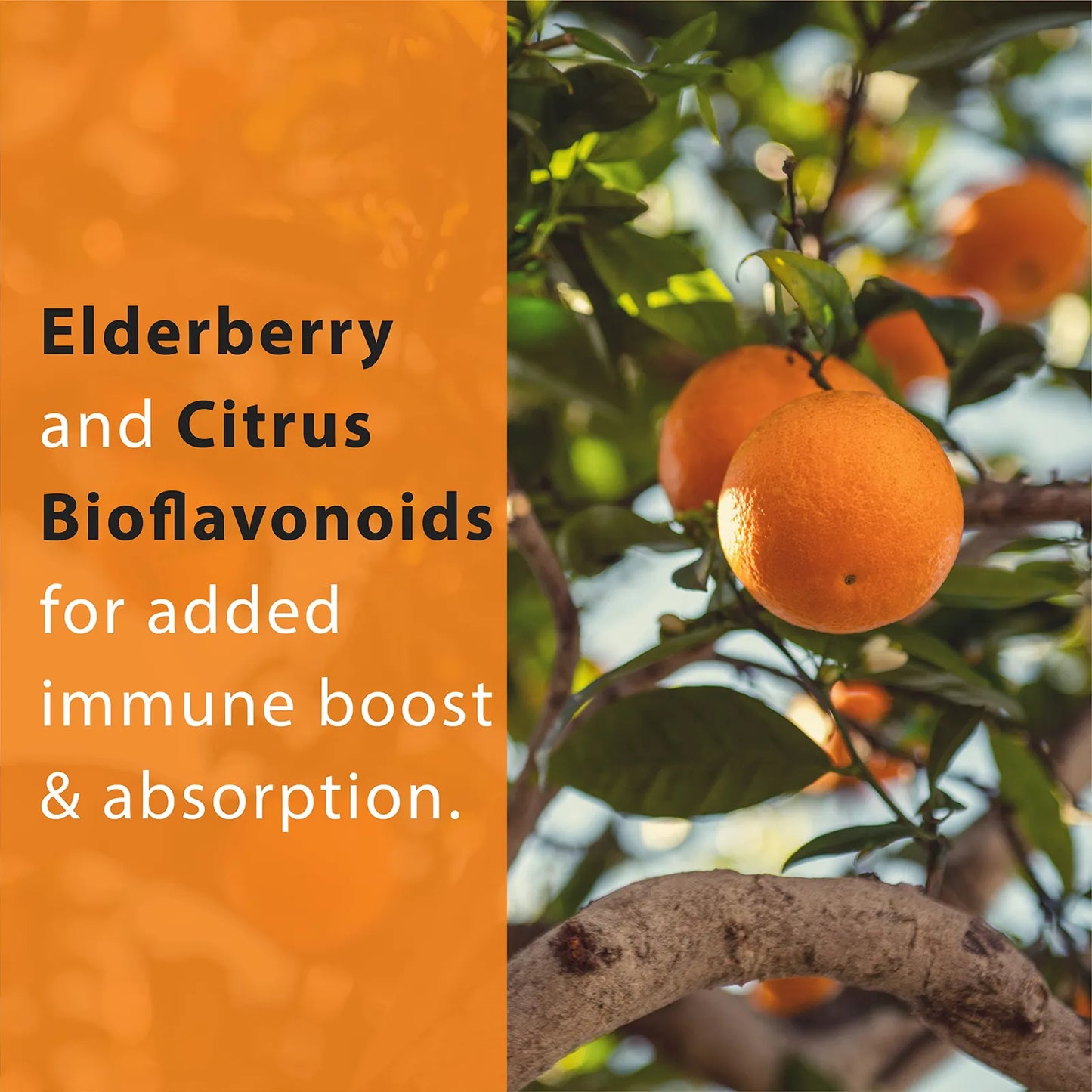 Vitamina C Natural Con Baya De Saúco Y Bioflavonoides Cítricos 90 Cápsulas Veganas