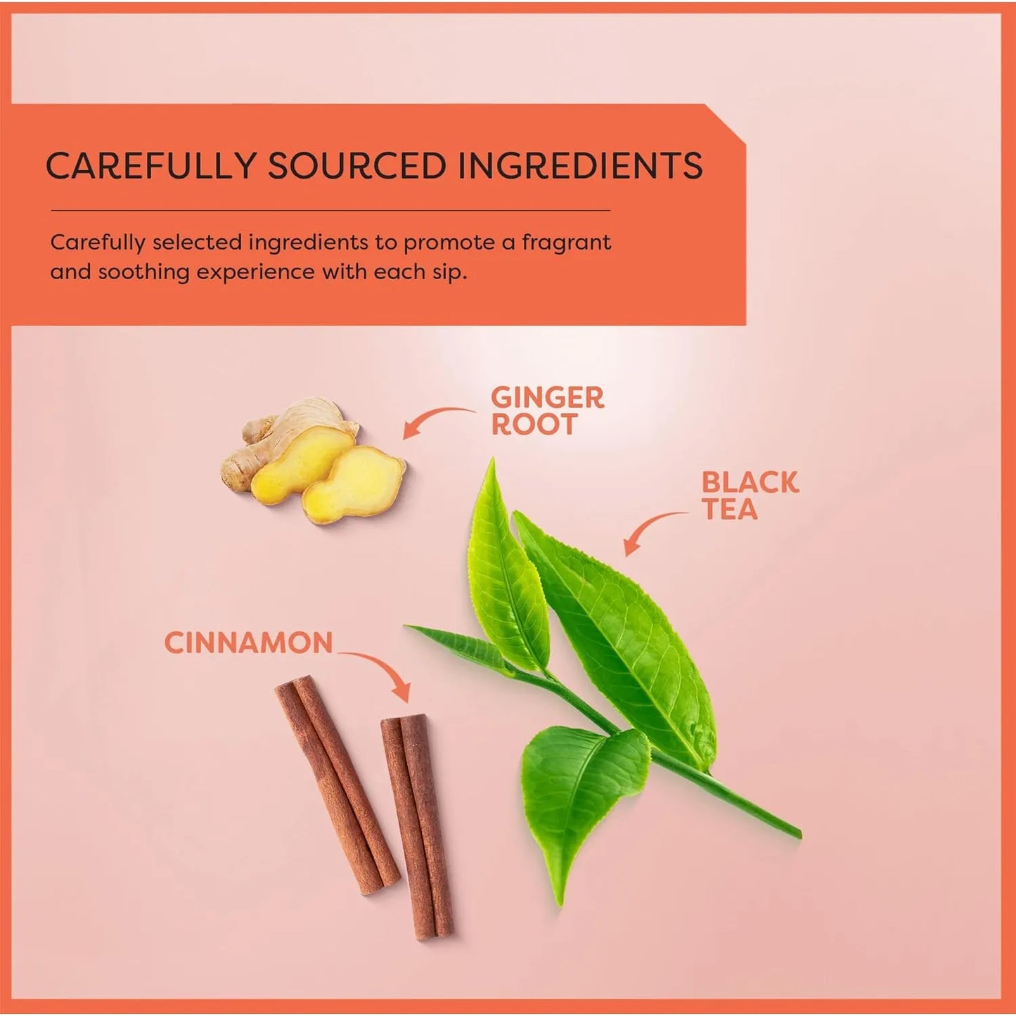 Té Negro Masala Chai Wissotzky 120 Bolsas Antioxidante Aromático