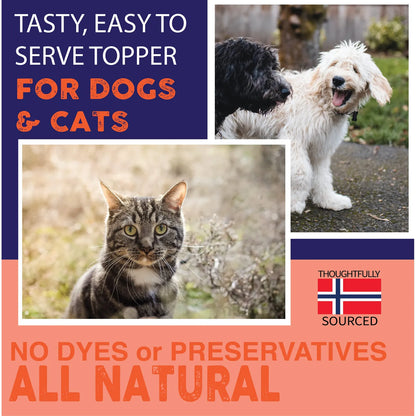 Aceite De Salmón Noruego Para Mascotas 946 Ml Apoyo Articular Piel Y Pelaje