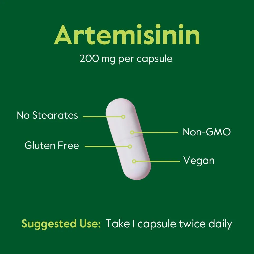 Artemisinina 200mg 60 Capsulas Vegetarianas Apoyo Inmunologico Y Digestivo