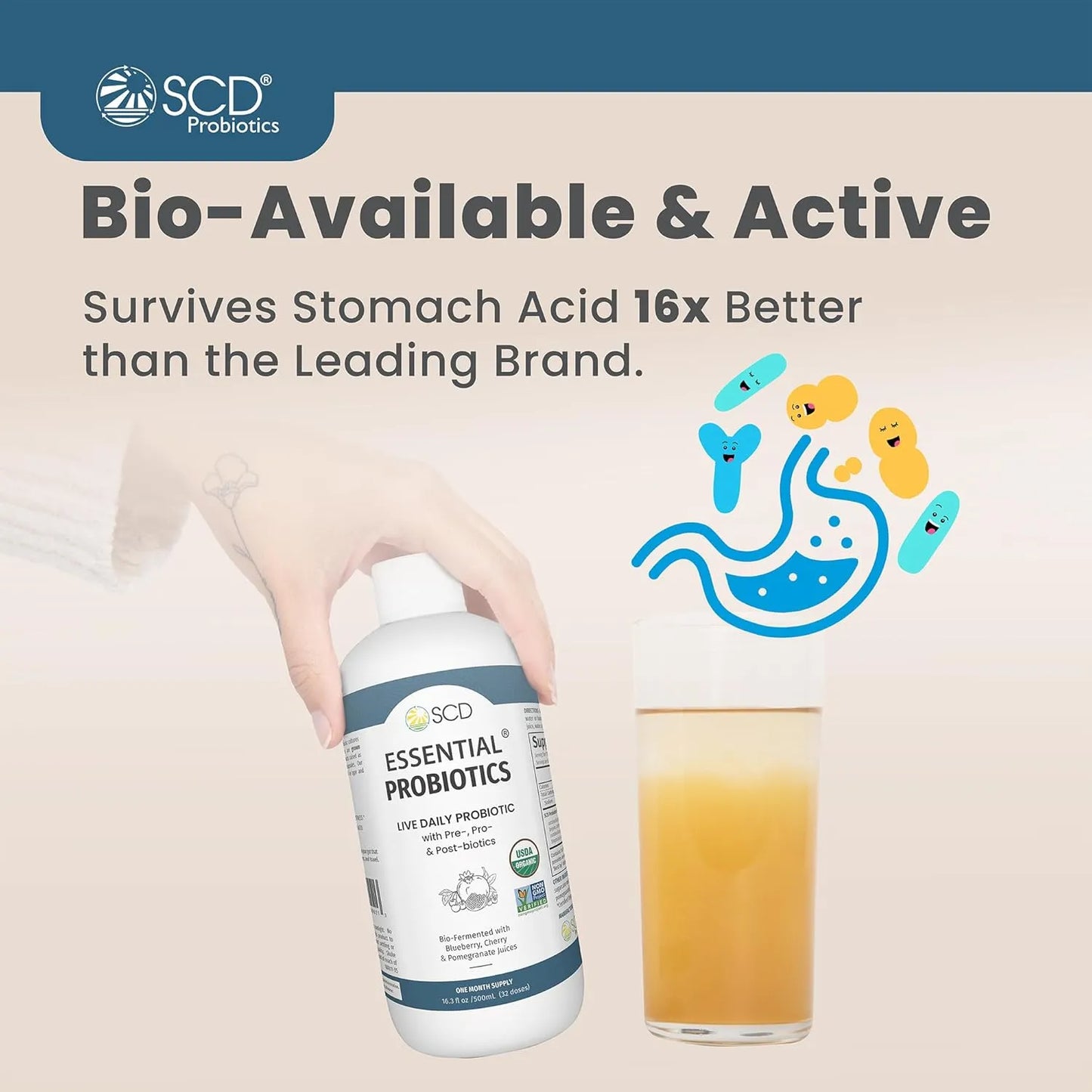 Probióticos Vitales 11 Cepas Salud Intestinal Familiar Sin Refrigerar