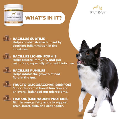 Masticables Probióticos Para Perros Con Fibra Prebiótica Y Omega 3 Salud Digestiva Y Piel