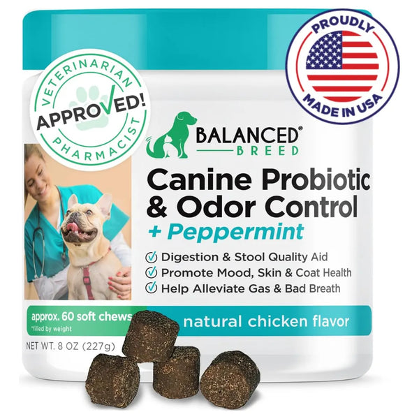 Probióticos Masticables Para Perros Salud Intestinal Digestiva Sin OMG Aprobado Por Veterinarios