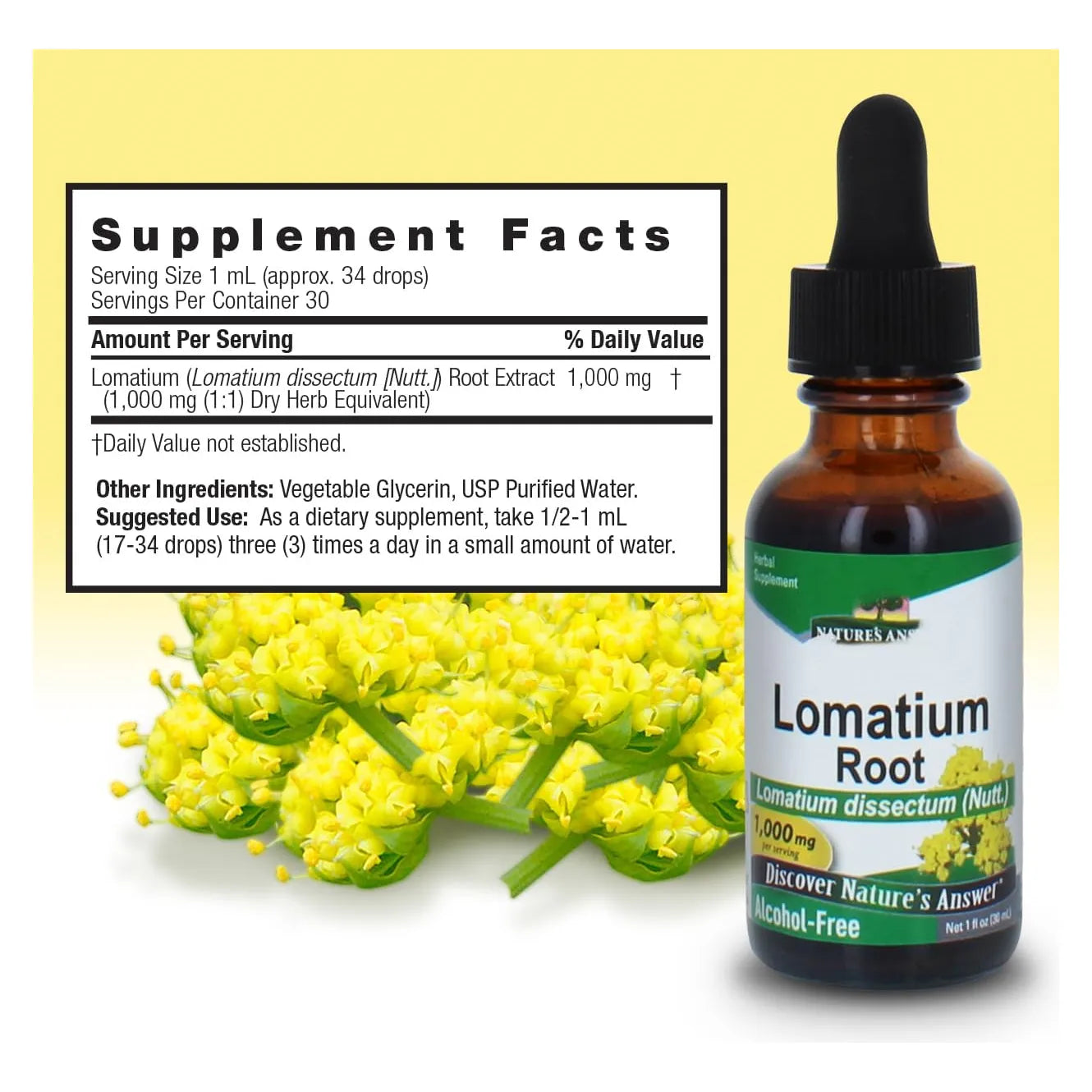 Extracto De Raiz Lomatium Dissectum 500 Mg Suplemento Herbario Natural Para Inmunidad Y Bienestar General