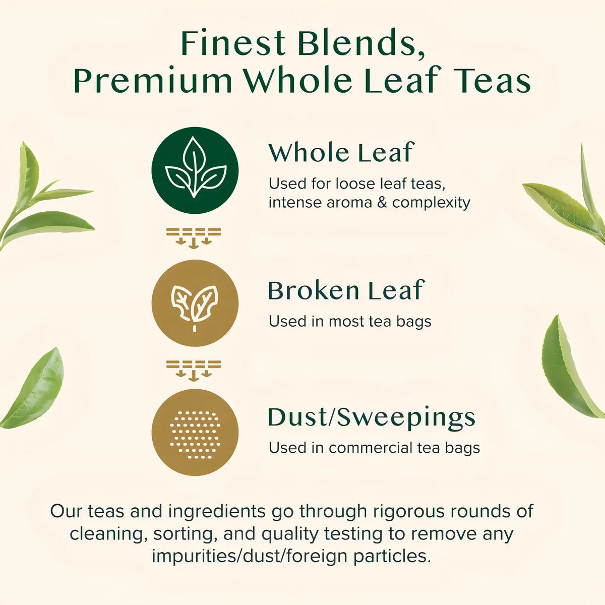 Té Verde Cítrico Manzanilla Y Menta Vahdam 100G Hojas Sueltas Antioxidante Relajante
