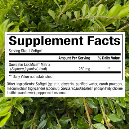 Quercetina Lipomicel Matrix 120 Capsulas Antioxidante Y Refuerzo Inmunologico