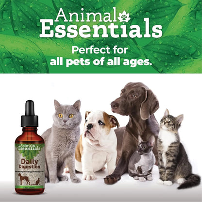 Suplemento Líquido Digestión Diaria Para Perros Y Gatos Apoyo Digestivo Aliento Fresco