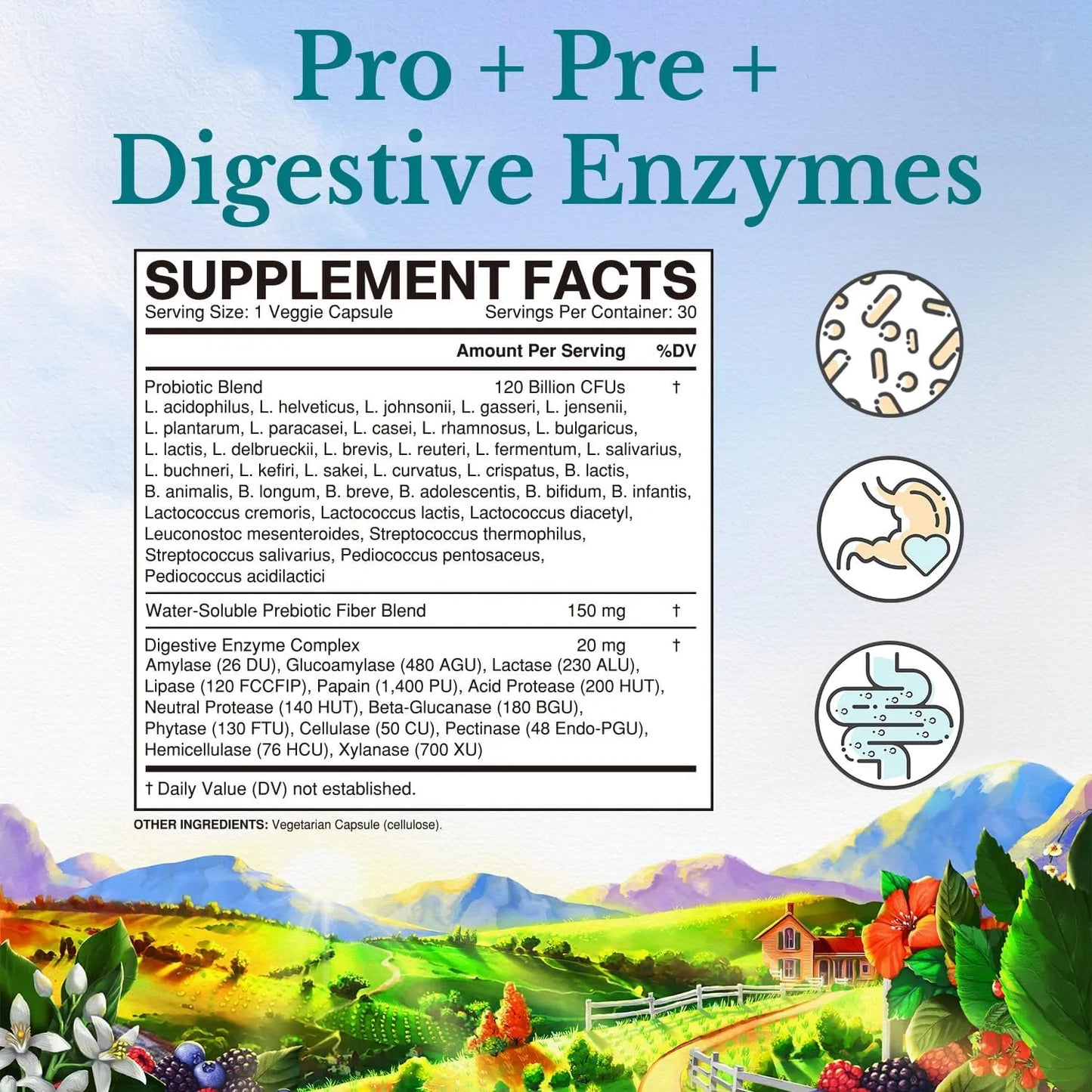 Probioticos 120 Billones + Prebioticos + Enzimas Digestivas 36 Cepas - Imagen 3