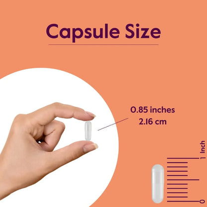 N Acetil L Tirosina 350mg 240 Capsulas Enfoque Memoria Sin Gluten