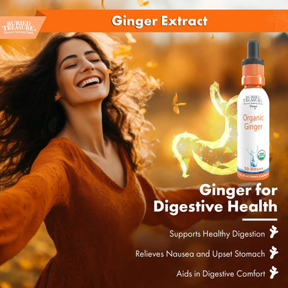 Gotas De Jengibre Organico Digestivo Sin Azucar Ni Alcohol Alivia Nauseas