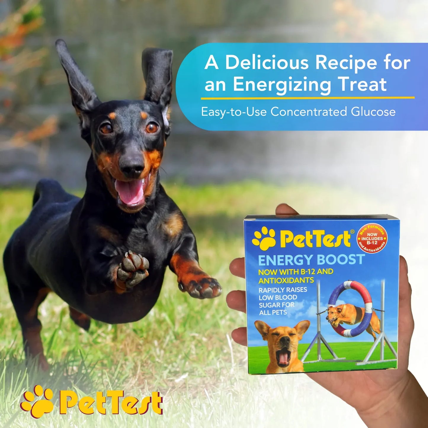 PetTest New Energy Boost Glucosa SOS Para Mascotas Sabor Carme Recuperacion Rapida