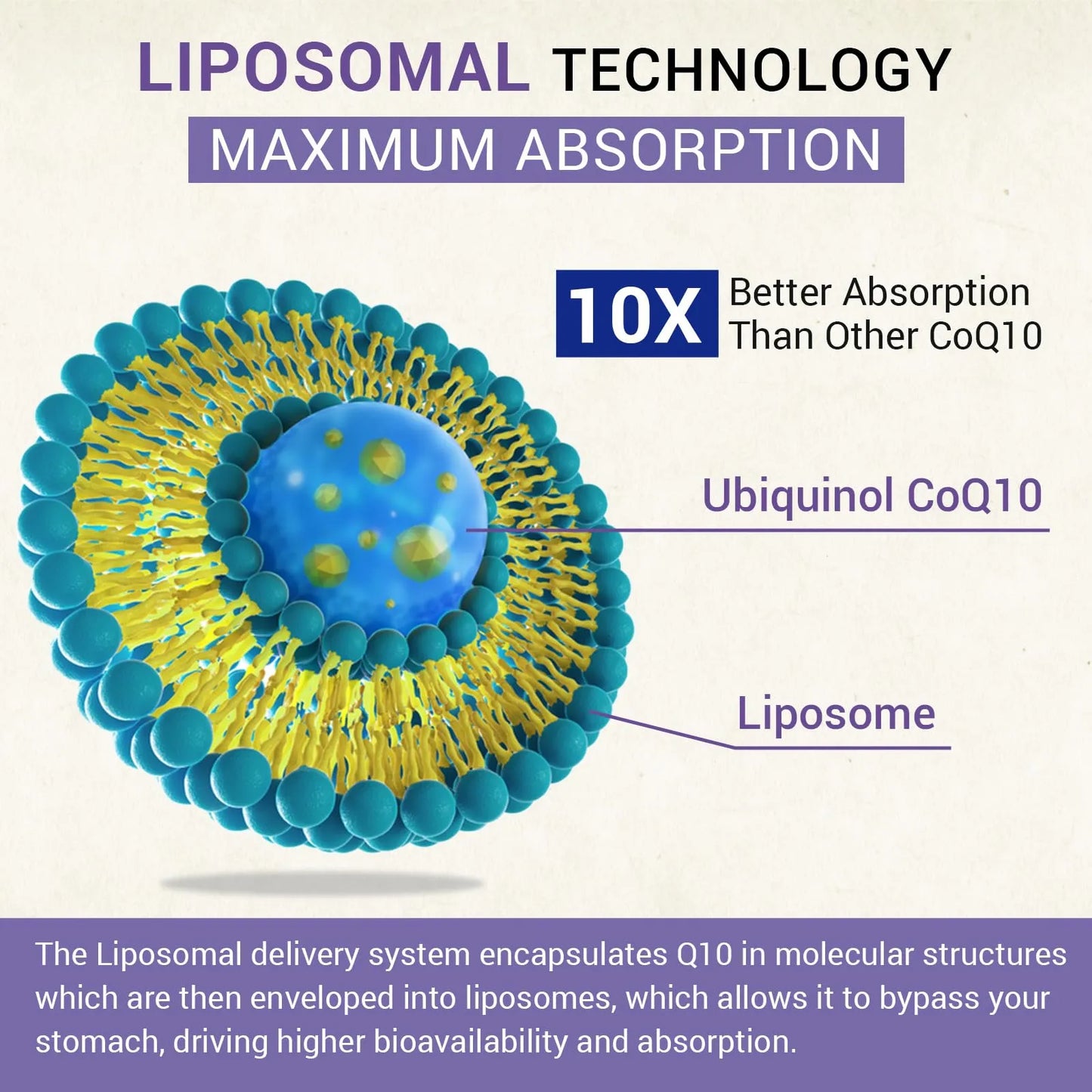 Ubiquinol CoQ10 800 Mg Liposomal Antioxidante Energía Cardíaco Cerebral