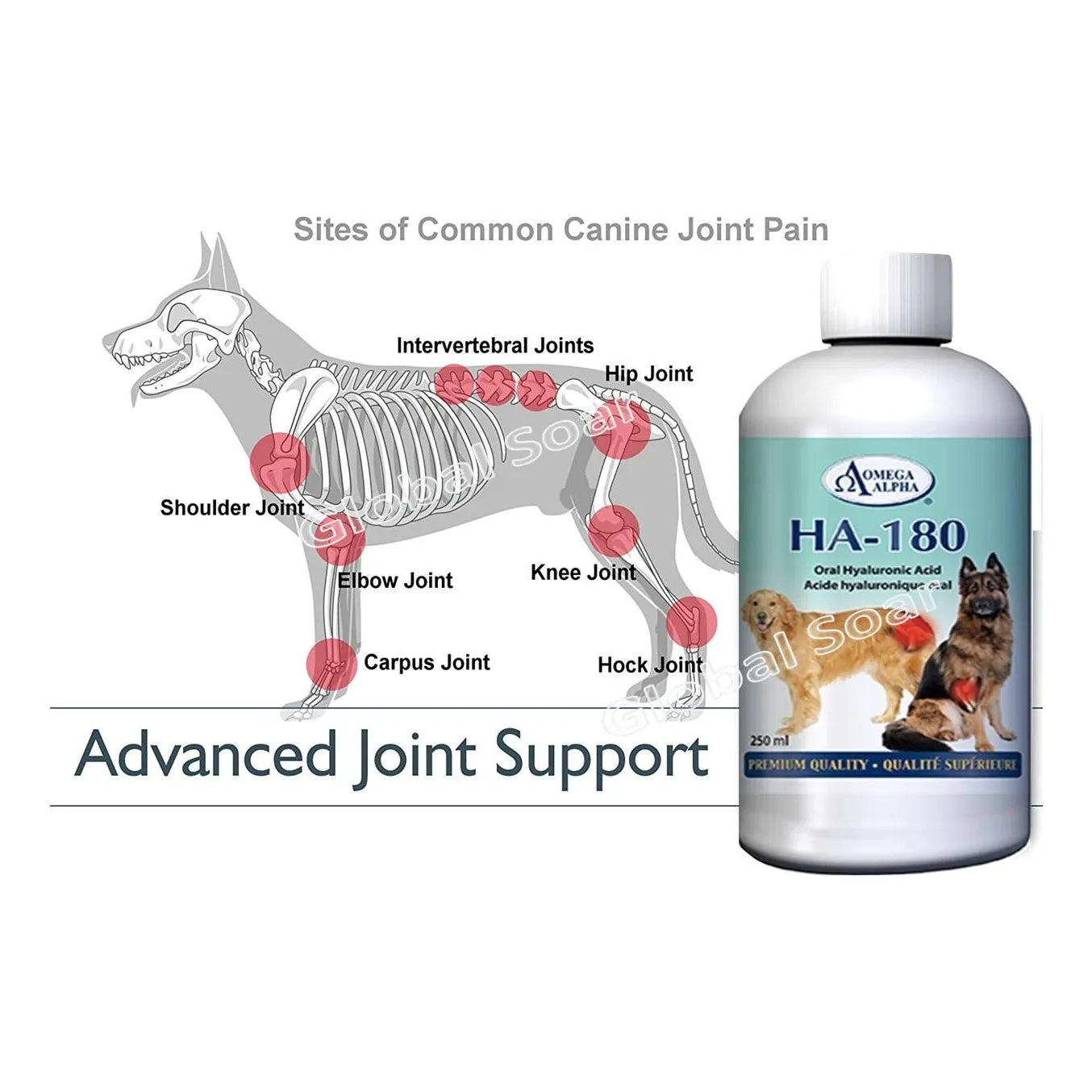 Ácido Hialurónico Para Mascotas HA-180 250ml Hidratación Articular Perros Y Gatos