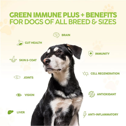 Multivitamínico Orgánico Para Perros King Kanine Green Inmune Plus 170g