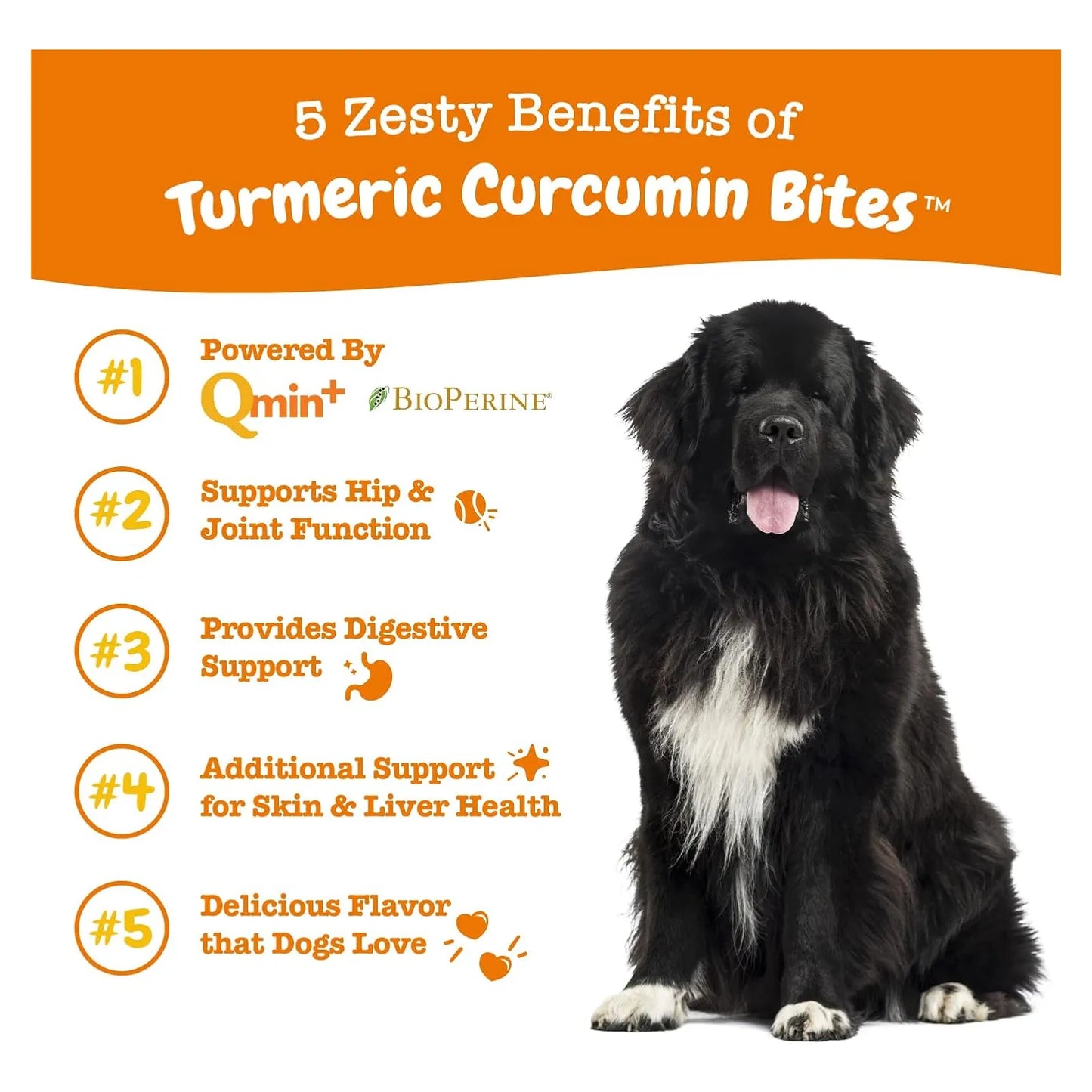 Curcumina De Cúrcuma Para Perros 95 Curcuminoides Salud Articular Y Digestiva
