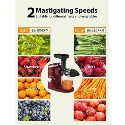Extractor De Jugo Prensa En Frio Masticacion Lenta Aeitto Para Jugos Puros Y Nutritivos