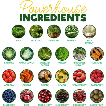 Superalimento Organico En Polvo Apoyo Inmunologico 23 Ingredientes Paleovalley