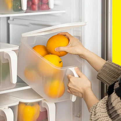 Contenedores De Almacenamiento MineDecor 4 Unidades Organiza Alimentos Frescos Y Ahorra Espacio
